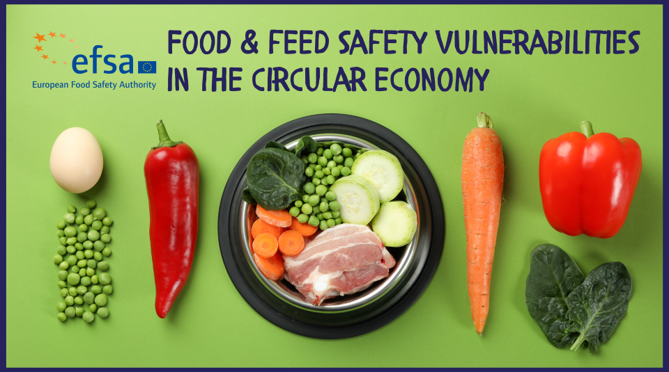 Food and feed safety vulnerabilities in the circular economy FINAL