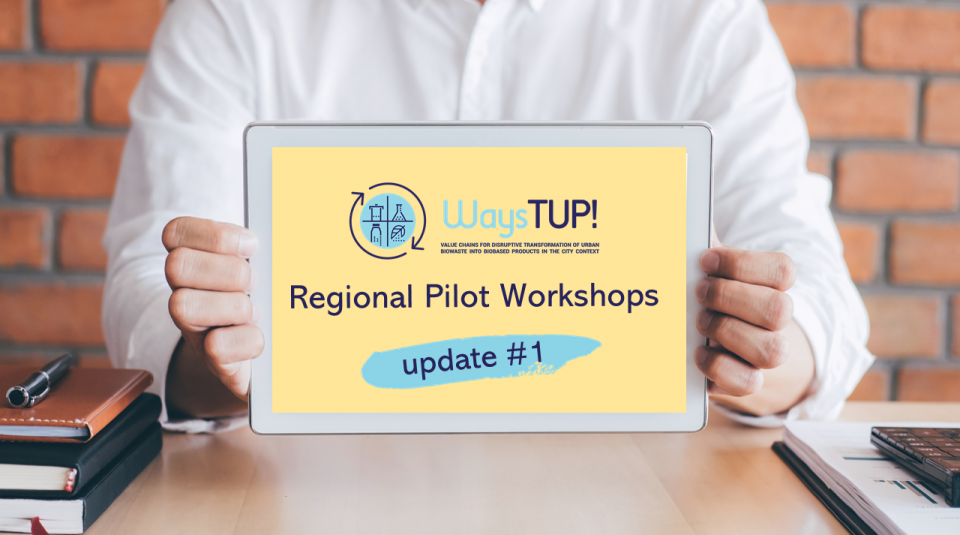 WaysTUP! Regional Pilot Workshops update #1