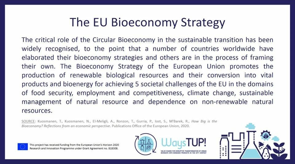 What promotes the Bioeconomy Strategy of the EU