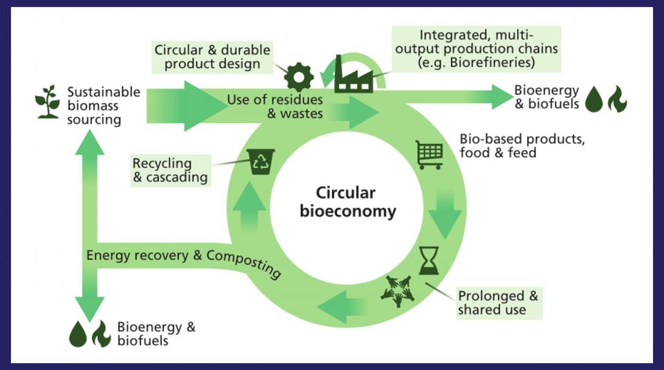 circular_bioeconomy_waystup